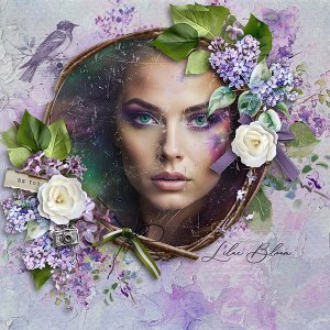 Dream in Lilac