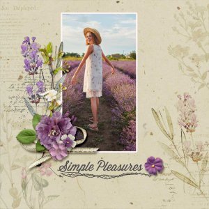 lavender-and-lace-karen-chr.jpg