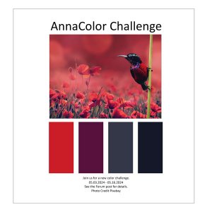 AnnaColor Challenge 05.03.2024 - 05.16.2024