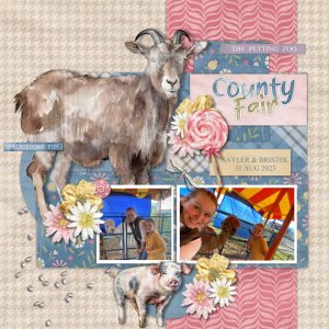County Fair - pg2