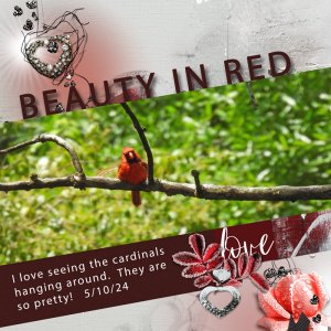 Beauty-in-Red Template Challenge #7