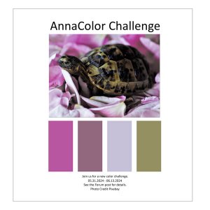AnnaColor Challenge 05.31.2024 - 06.13.2024