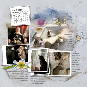 MIR24-PAGE-10-APRIL-CATS