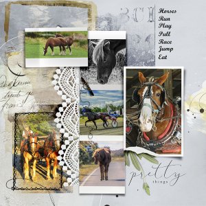 Anna-Aspnes-digital-scrapbook-Value-Pack-Summer-3-Horses-Joan.jpg