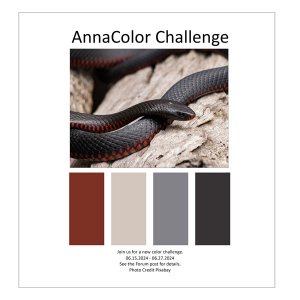 AnnaColor Challenge 06.15.2024 - 06.27.2024