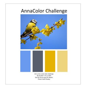 AnnaColor Challenge 06.29.20204 - 07.11.2024