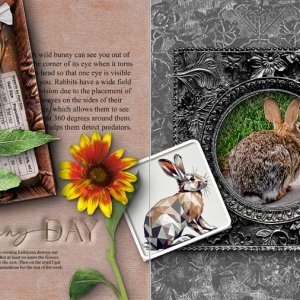 Bunny Day