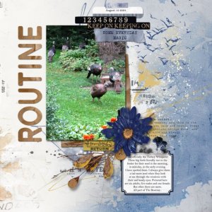 The-Routine