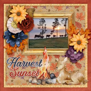 Harvest-sunset.jpg