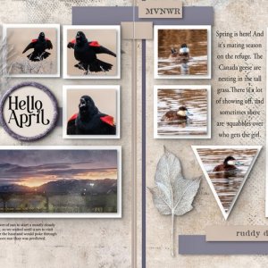 #5 Hello April