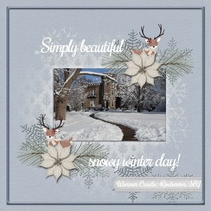 Simply beautiful snowy winter day!