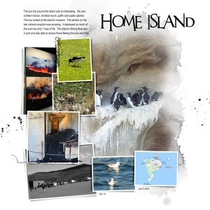 2024Jul8-homeisland-web.jpg