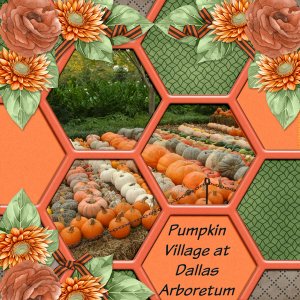 Pumpkin Village at Dallas Arboretum