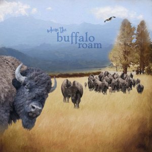 Where the Buffalo Roam