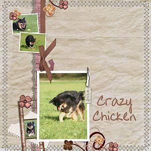 ~crazy chicken~