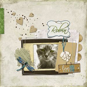 Robin - Love Allways