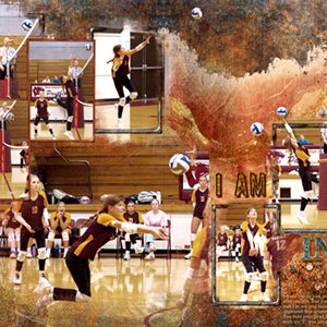 volleyball-12x24-web.jpg