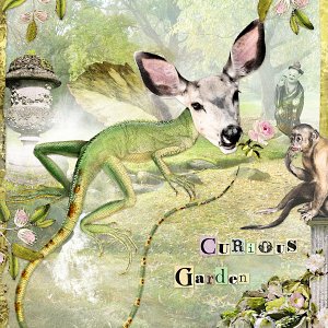 curious-garden