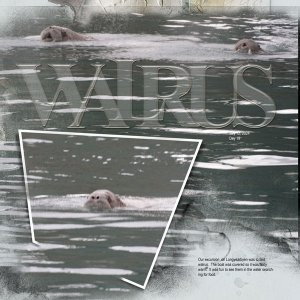 2024Jul12-walrus-web.jpg