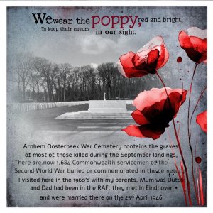 We wear the Poppy!