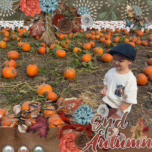 Pumpkin Patch