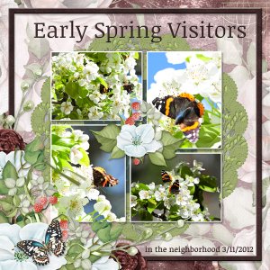 Early Spring Visitors