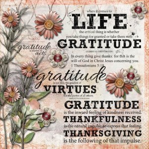 Gratitude-AJ-Wk3