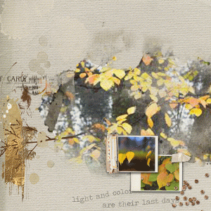 Autumn-The Last Leaves