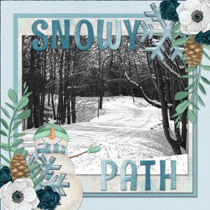 SNOWY PATH