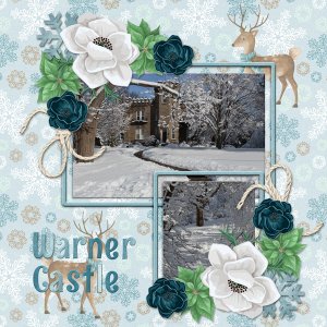 Warner Castle