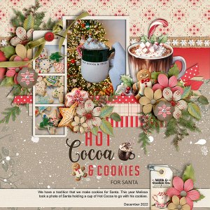 Cookies-for-Santa.jpg