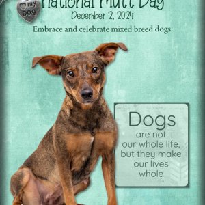 (Day 1) ATC-2024-052-National-Mutt-Day.jpg