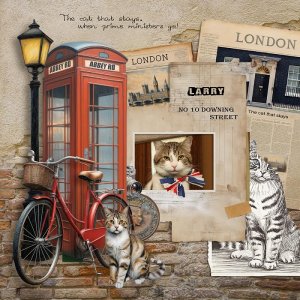 Larry - The Downingstreet 10 Cat