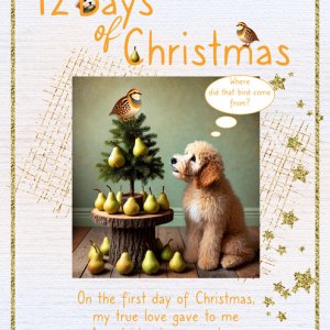 (Day 12)12-Days-of-Christmas.jpg