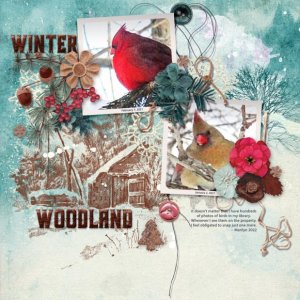 Winter Woodland