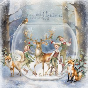 The Enchanted Snowglobe