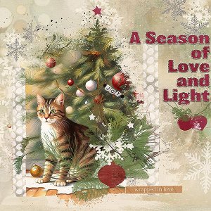 A season of love and light