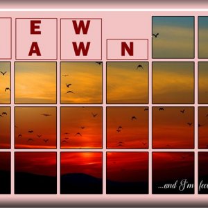 ATC-2025-003-New-Dawn.jpg