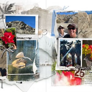 anna-aspnes-digital-scrapbook-multi-media-new-year-diane-palm-springs.jpg