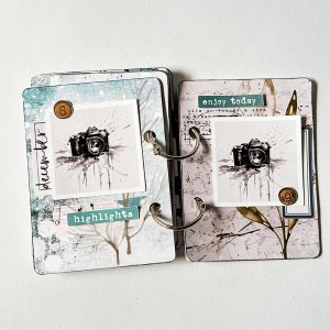 Mini album dd (hybrid)