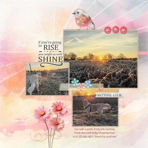 Featuring: Rise and Shine by Karen Shulz