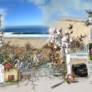 anna-aspnes-digital-scrapbook-artplay-fortuna-collection-snowy-beach-notions-diane-feb.jpg