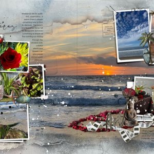 anna-aspnes-digital-scrapbook-artplay-fortuna-collection-snowy-beach-notions-diane-weekend.jpg