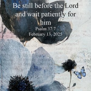 0213-Patience ATC