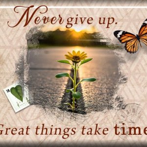 ATC-2025-017-Never-Give-Up.jpg