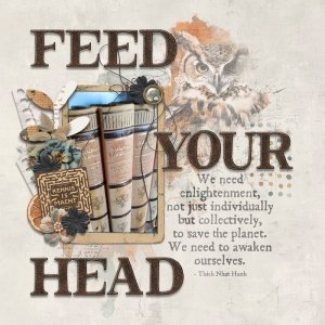 Feed Your Head