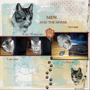 ---- March 2025 -challenge 7 - MultiPhoto -MEW and the mouse.jpg