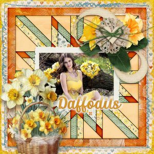 Daffodils