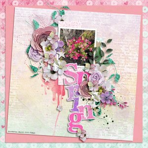 March2025_Carol W Template Challenge_Spring