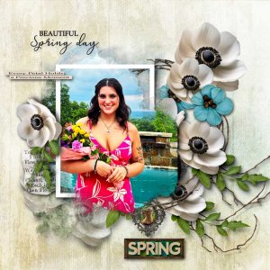Essence of Spring